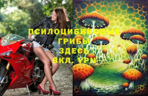 МДПВ Арсеньев