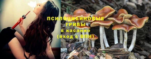 МДПВ Арсеньев