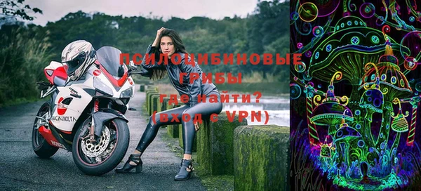 ГАЛЛЮЦИНОГЕННЫЕ ГРИБЫ Армянск