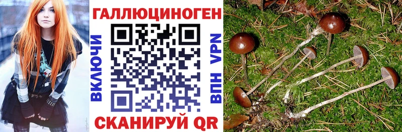 Галлюциногенные грибы MAGIC MUSHROOMS  Купить закладки  Магнитогорск 
